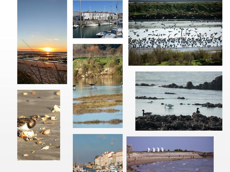 Ile De Re, La Danae, Velos, Wifi, Possibilite Cuisine, Linge, Parking Gratuit Saint-Martin-de-Ré Εξωτερικό φωτογραφία